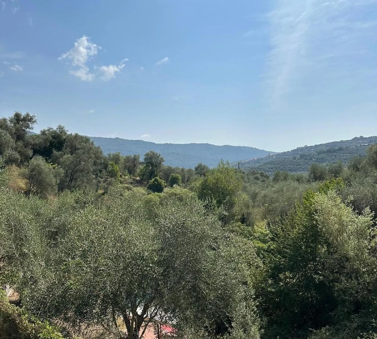Apartment Sette - Villino Lorenzo Villa Viani